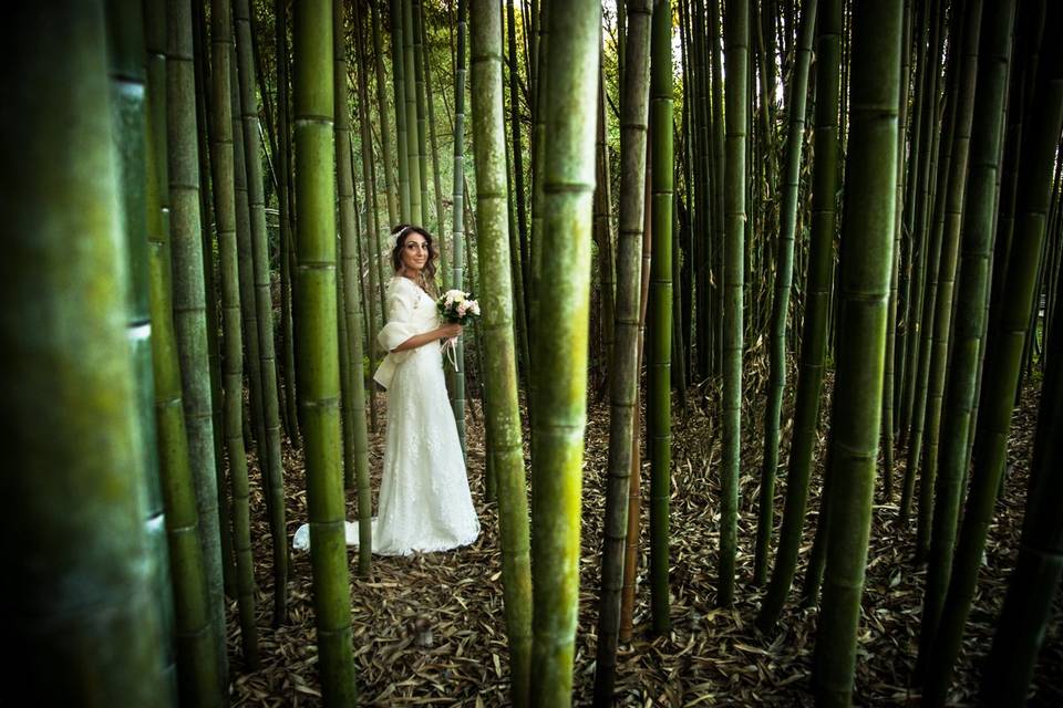 Sposa tra i bamboo