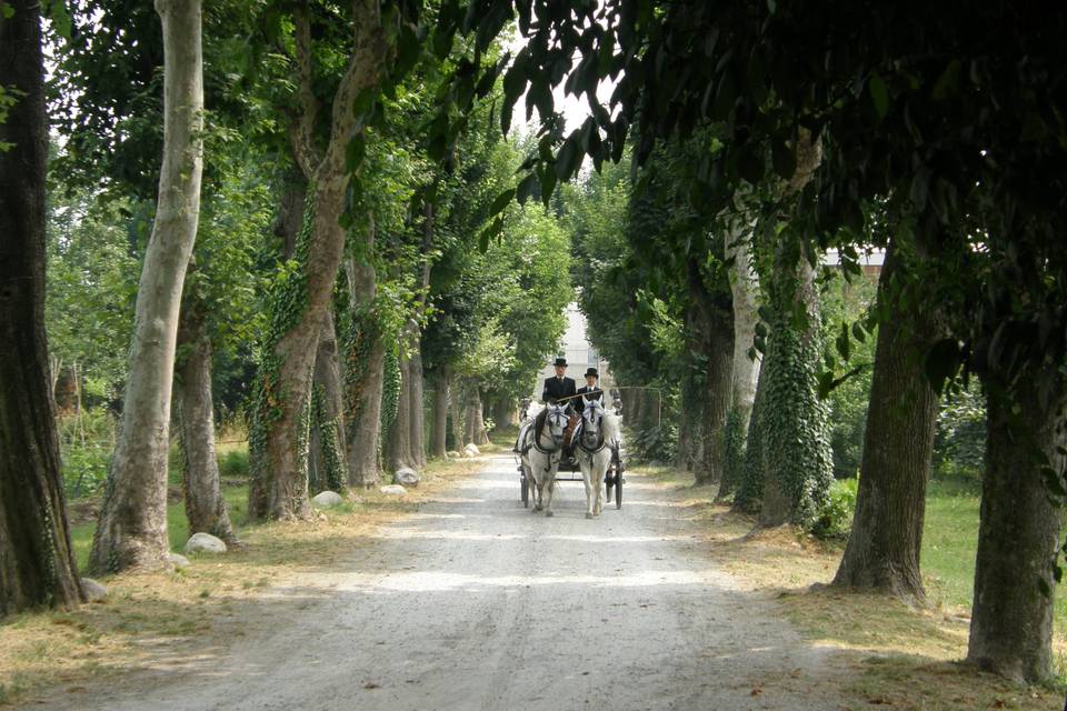 Viale d'accesso