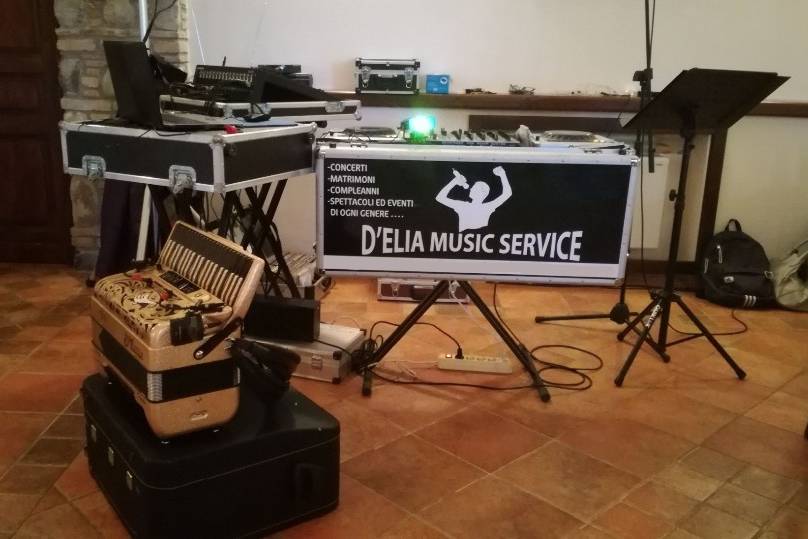 D'Elia Music Service