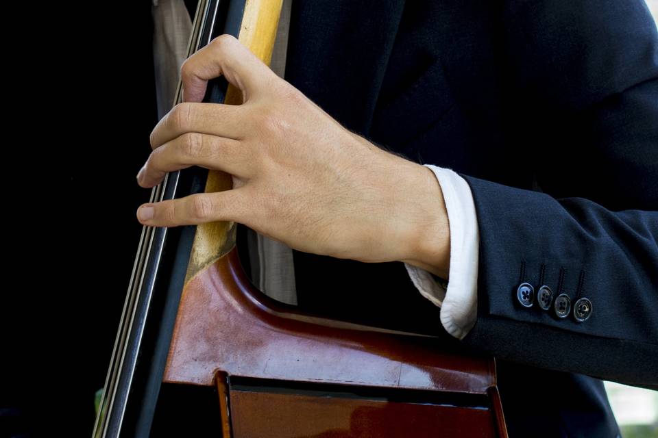 Contrabasso