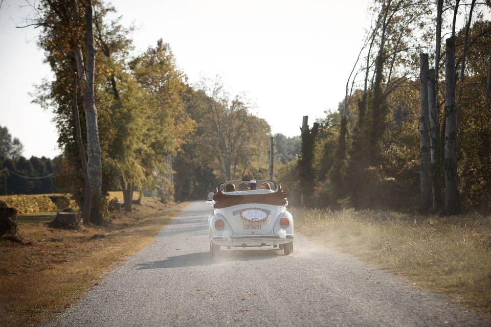 White Wedding Photography