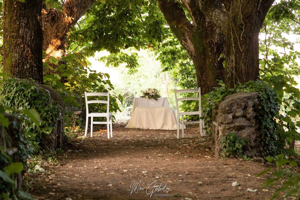 Cerimona nel viale dell'amore