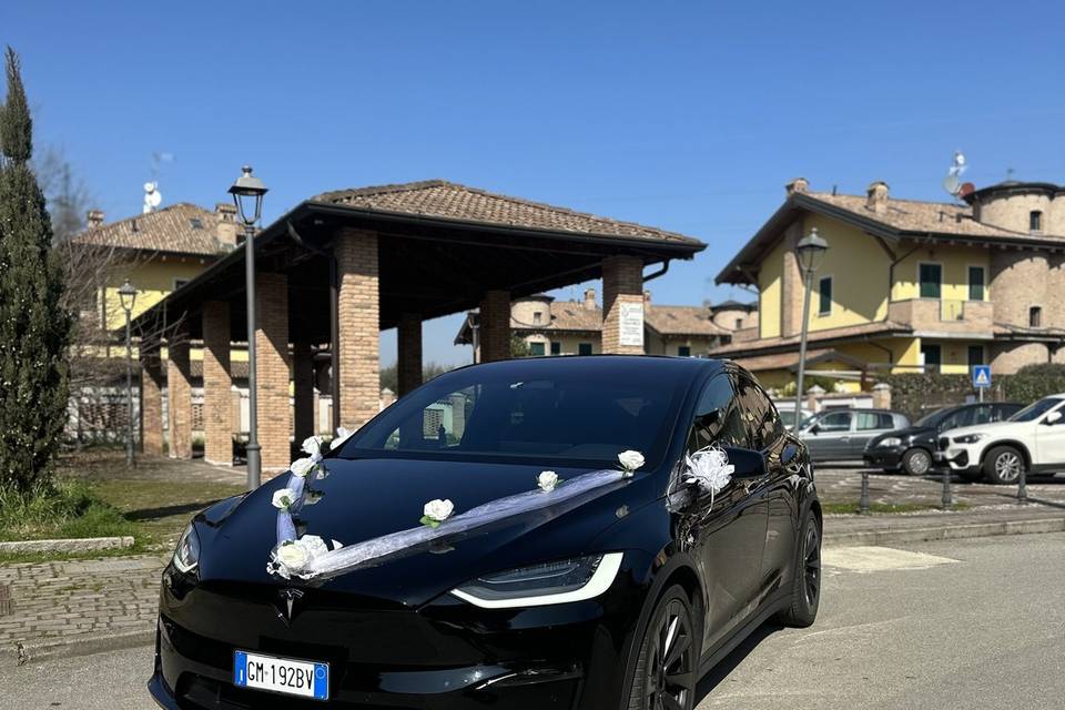 Model X Plaid