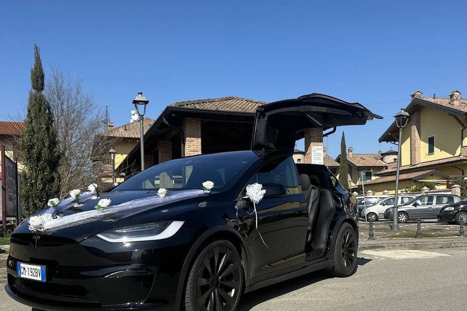 Model X Plaid Falcon Wing