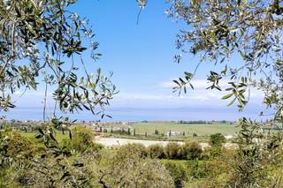 Azienda Agricola Castelmontioni