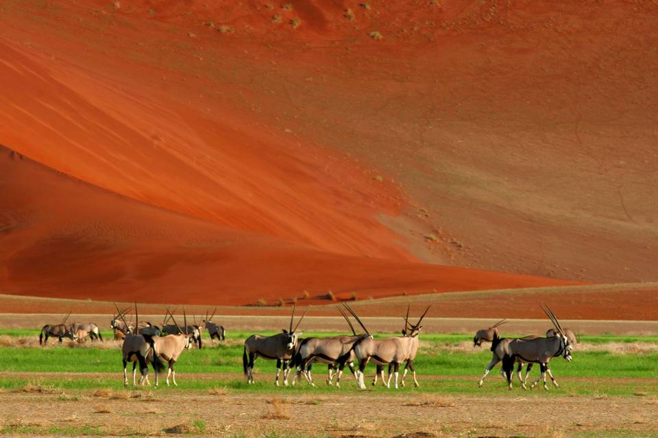 Namibia