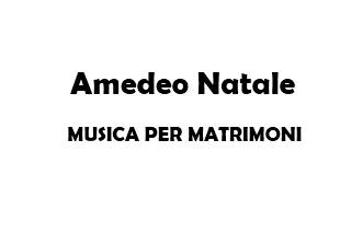 AmedeoNatale logo