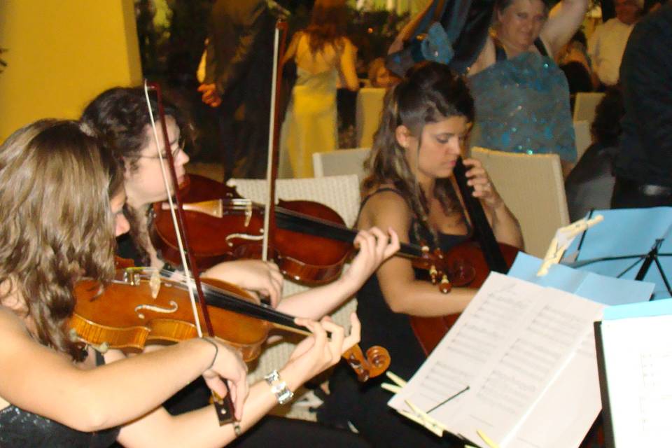 Ensemble Piccola Orchestra