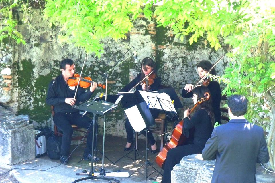 Ensemble Piccola Orchestra