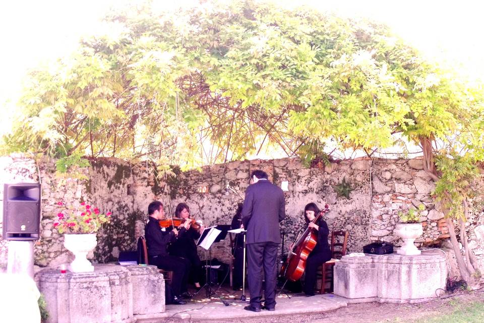 Quartetto