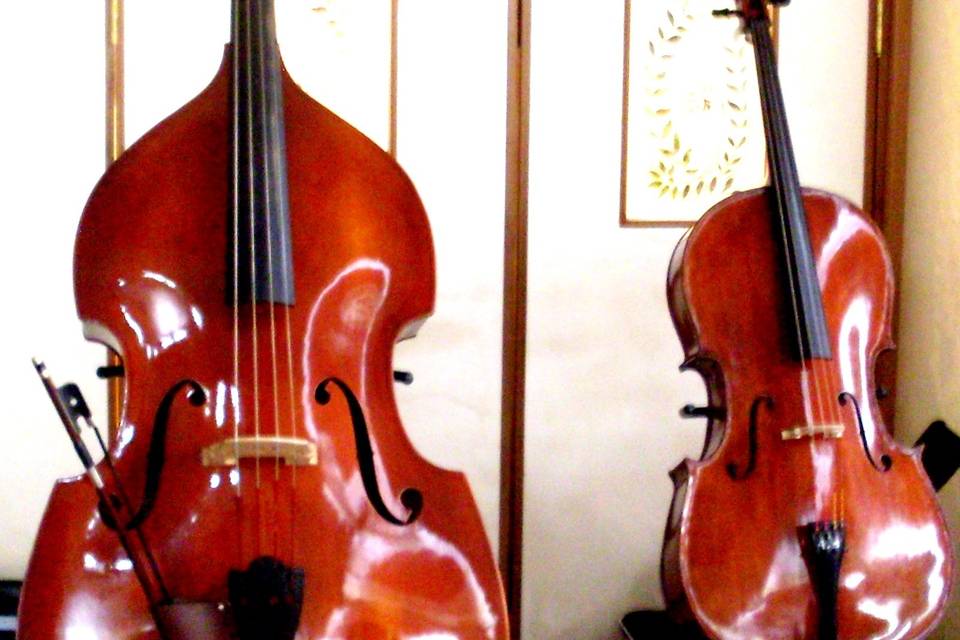 Basso&cello