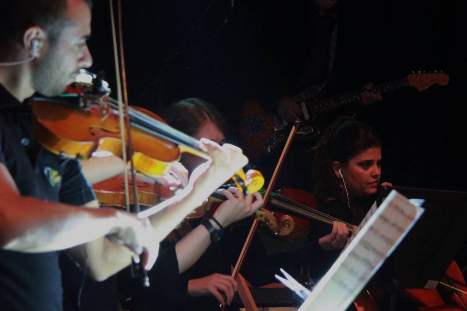 String in concert 2016