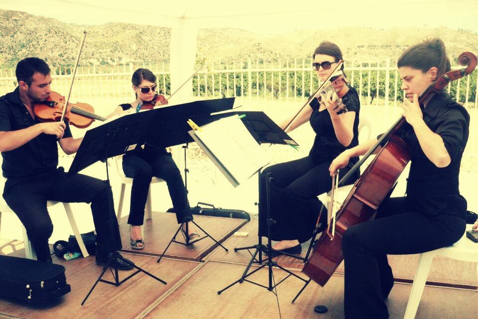 Ensemble Piccola Orchestra