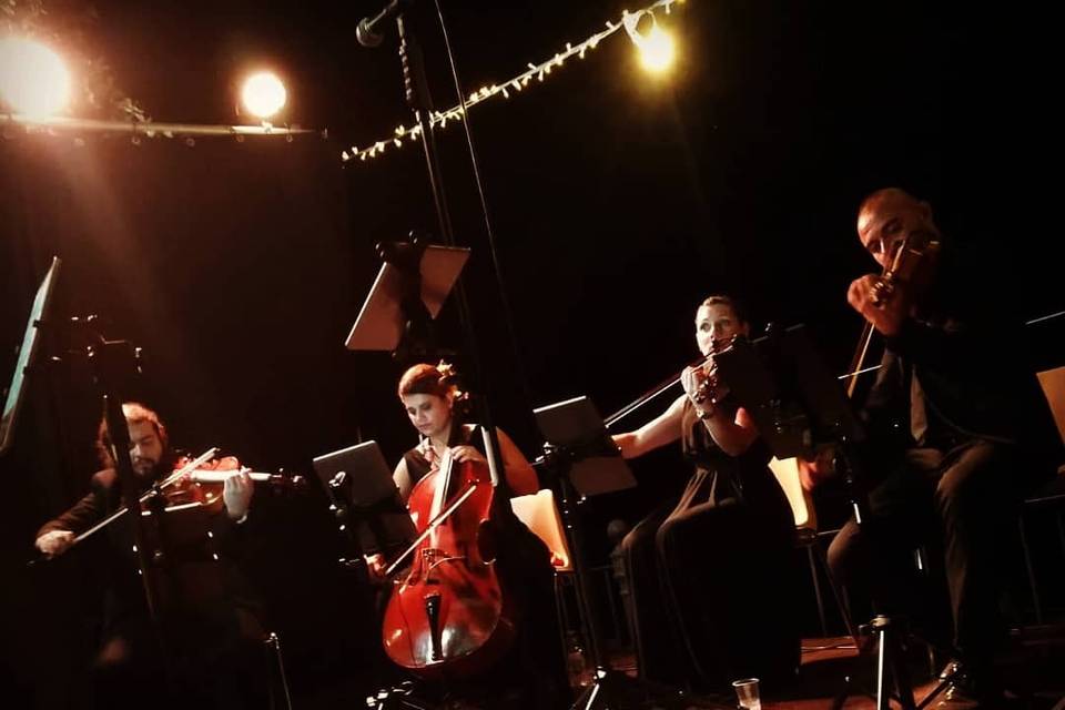 Ensemble Piccola Orchestra