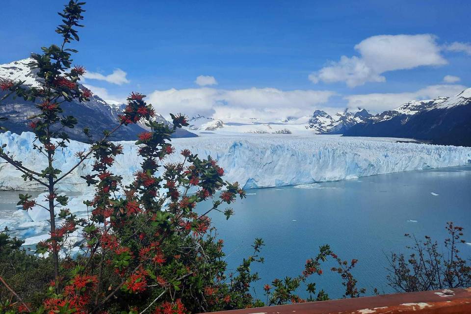 Ushuaia/Argentina