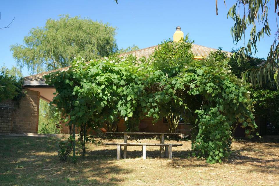 Tavolo sotto pergolato