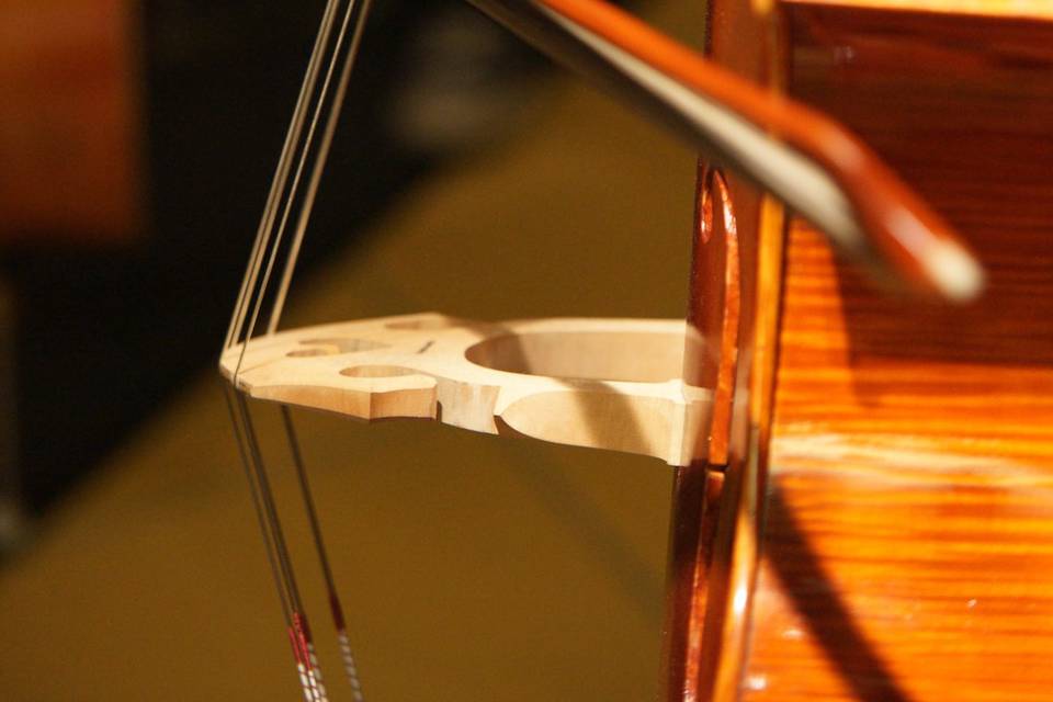 Violinist  Ensamble Strings