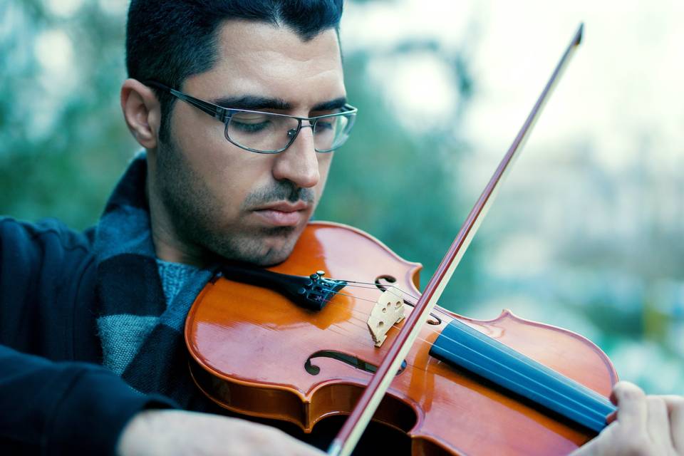 Violino