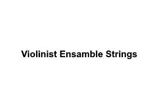 Violinist Ensamble Strings