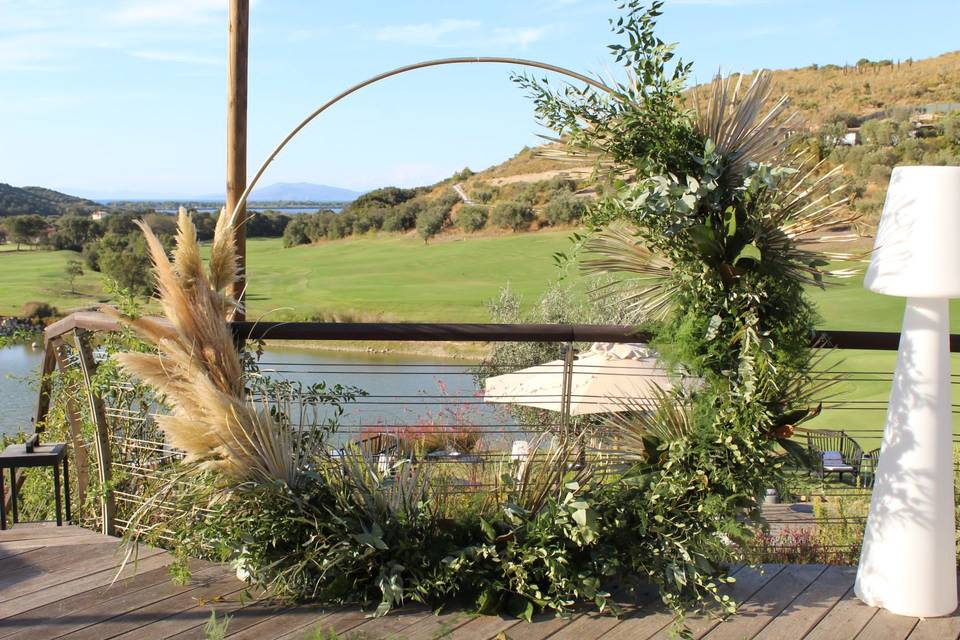 Arco verde e pampas