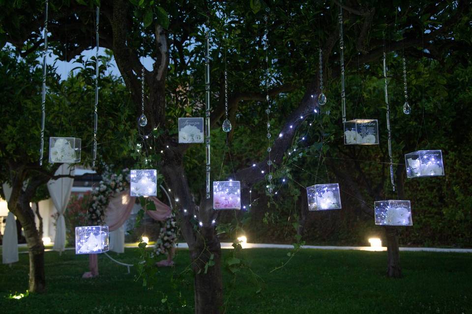 Tableau de mariage illuminato