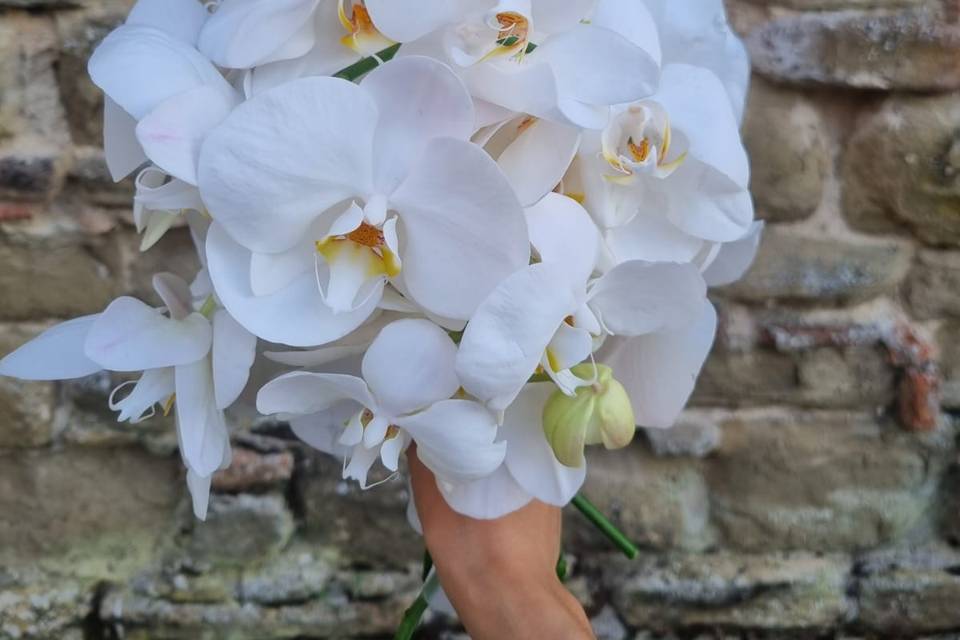 Bouquet sposa