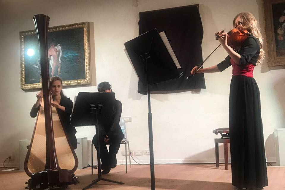 Duo violino e arpa