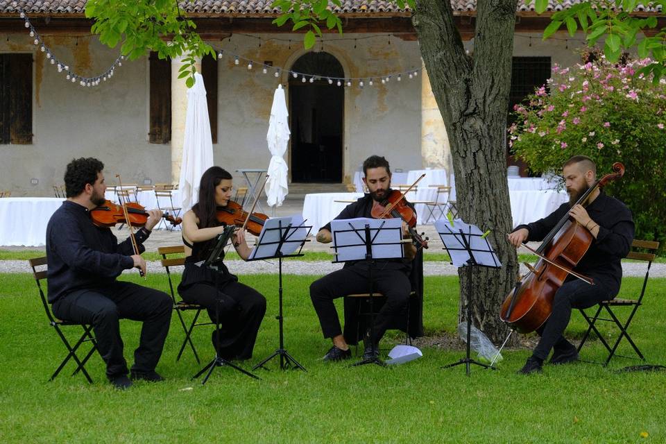 Brema Quartet