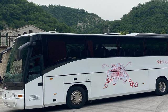 Autobus matrimonio