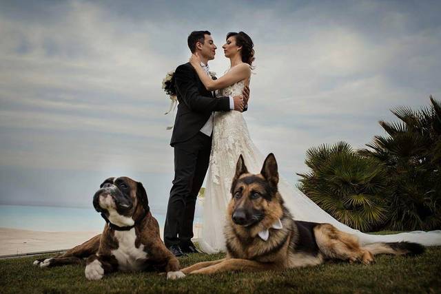 CaniAmo - Wedding Dog Sitter