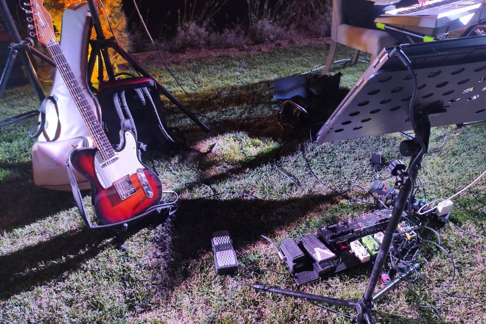 Guitar