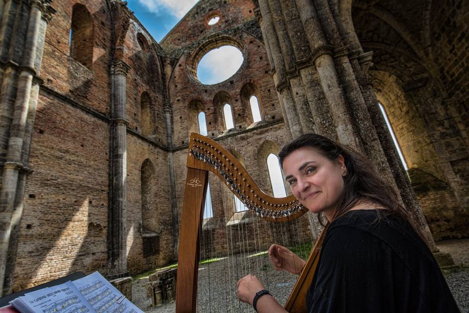 In San Galgano Abbey