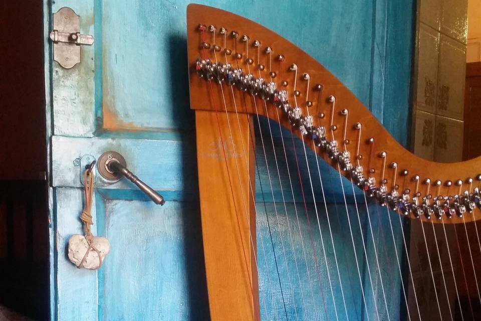 My beautiful celtic harp