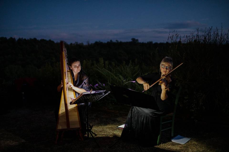 Concert in a summer night