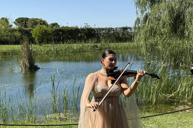 Michela Violinist