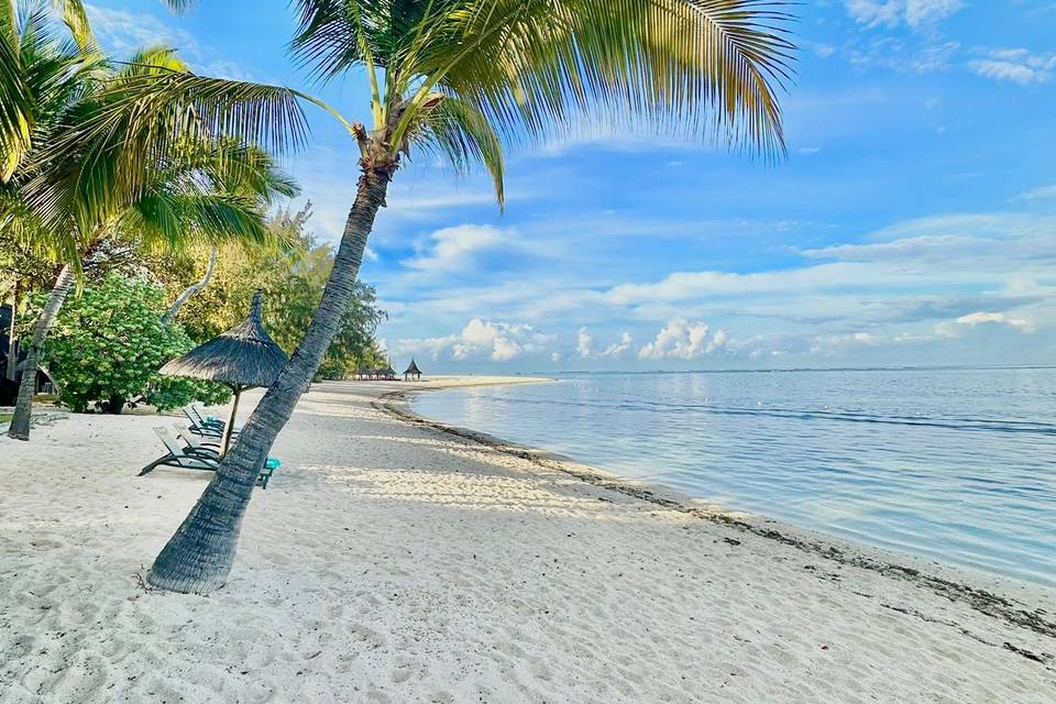 Scatti dei clienti -Mauritius