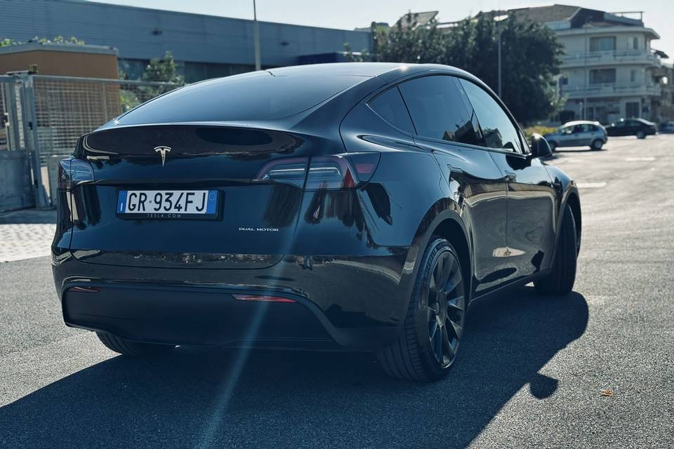 tesla matrimonio sicilia