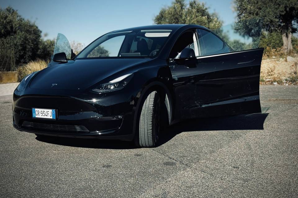 Tesla model y matrimonio