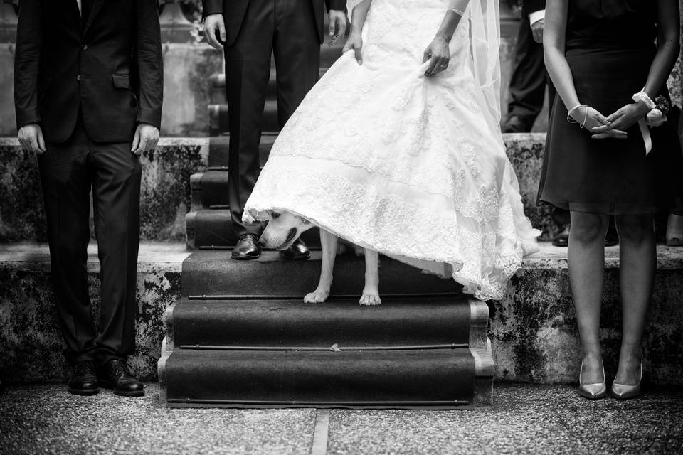 Italian wedding Photographer