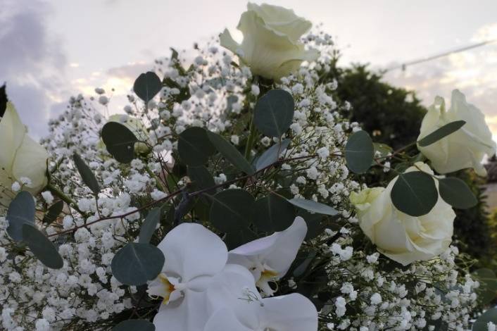 Il Giardino di Venere