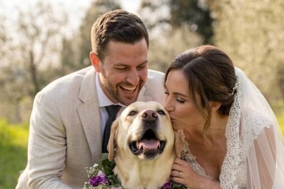 Wedding Dog