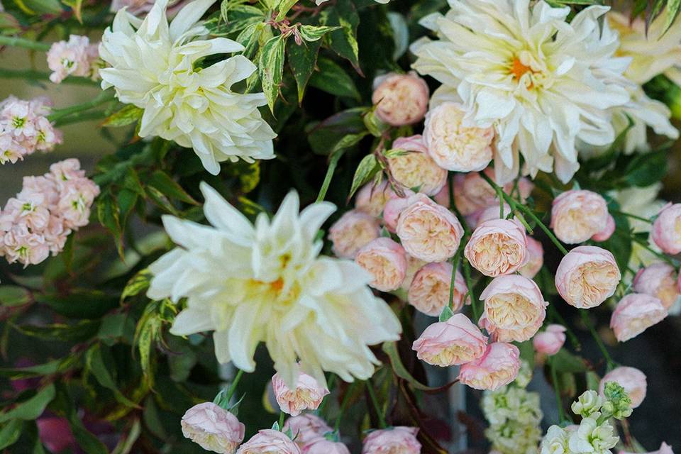 Dettaglio Fiori allestimento