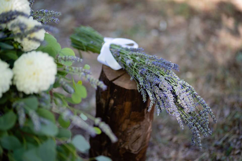 Matrimonio nel bosco incantato