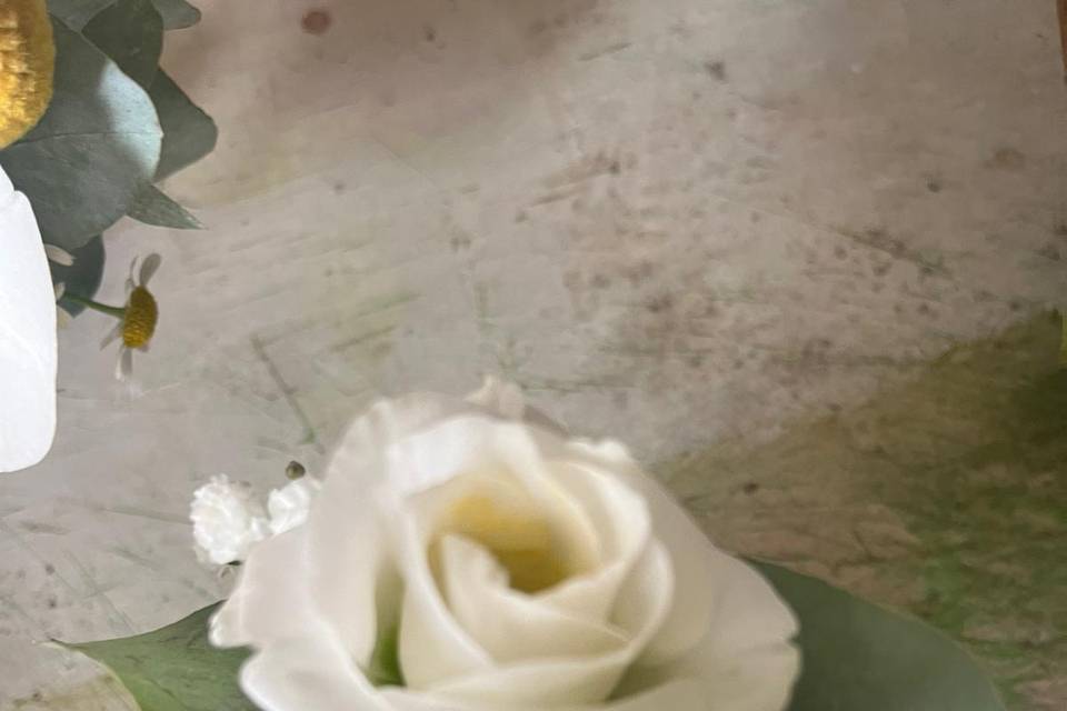 FIORE ALL'OCCHIELLO