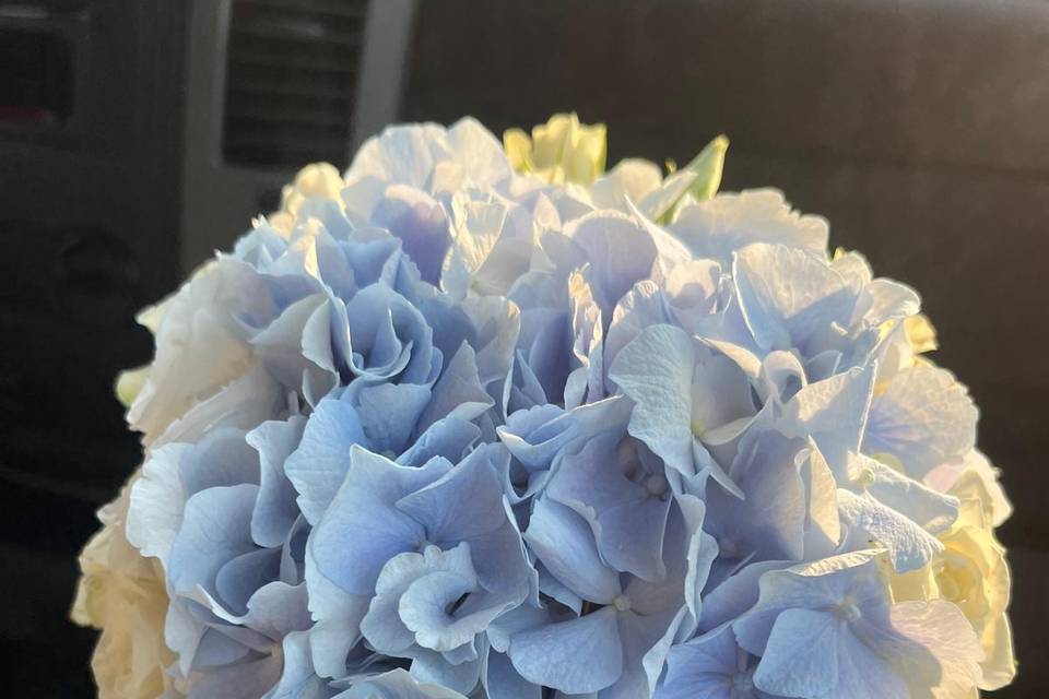 BOUQUET