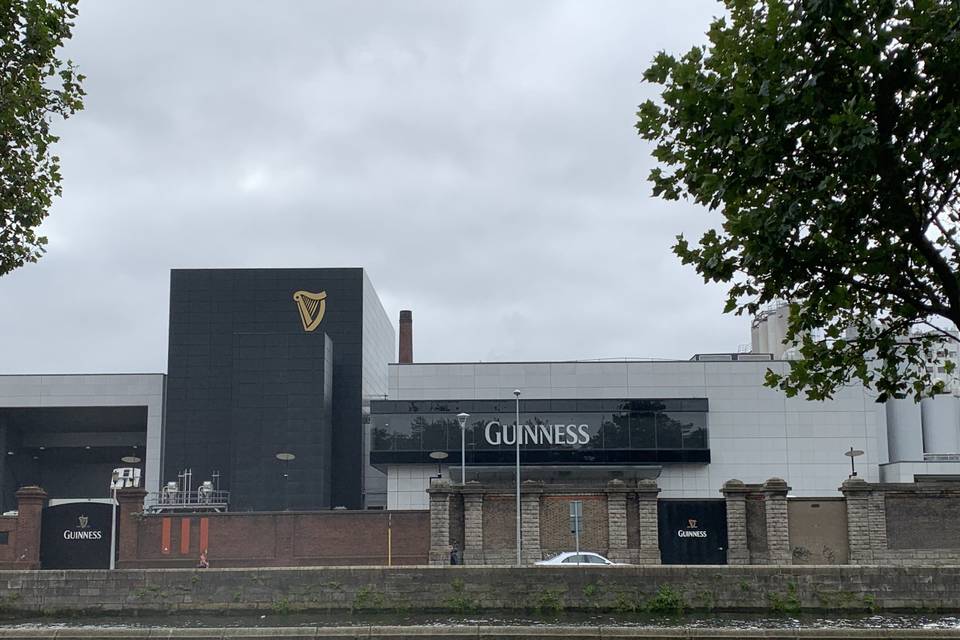 Produzione birra Guinness