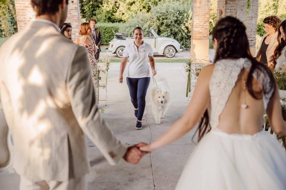 Il tuo cane porta le fedi