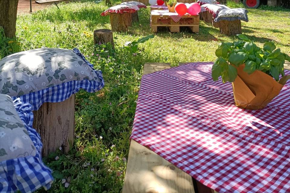 Allestimento PicNic