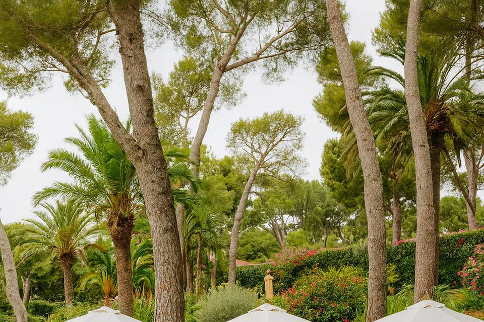 Lounge giardino