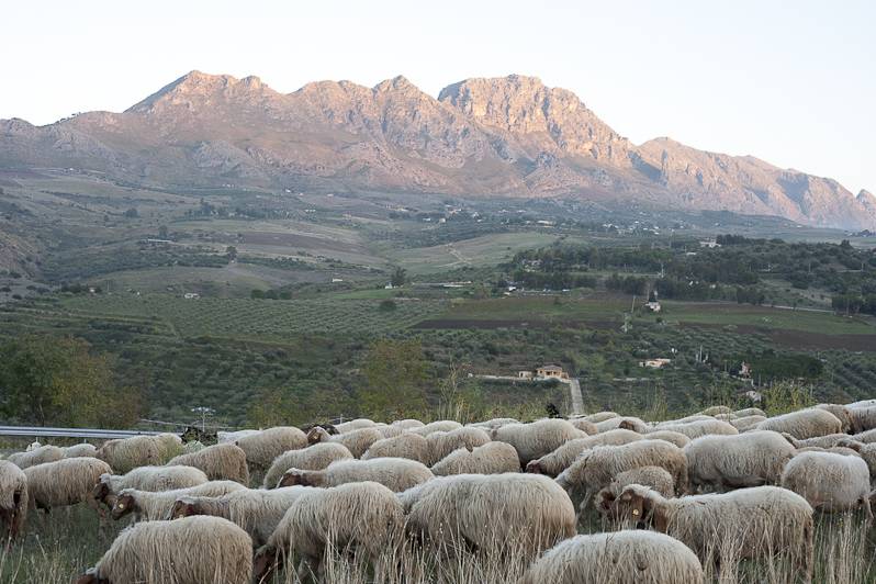 L'aria buona della Sicilia